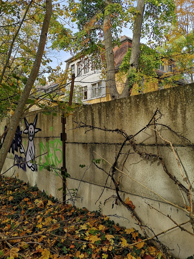 Eine mit Graffiti bemalte Mauer, darauf Stacheldraht. Dahinter ein Gebäude der Anstalt. thumbnail